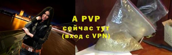 ПСИЛОЦИБИНОВЫЕ ГРИБЫ Михайловск