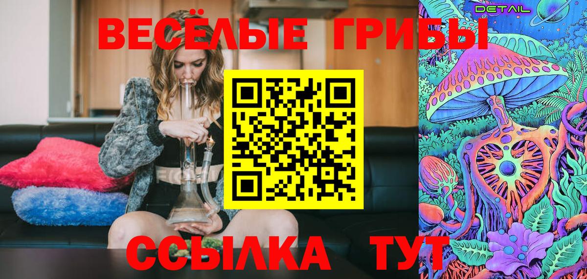 Псилоцибиновые грибы Psilocybine cubensis Ессентуки