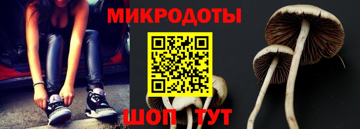 Псилоцибиновые грибы ЛСД  Вход с VPN  купить закладку  Ессентуки 